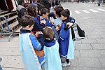 Gara delle Bighe 2011-7934